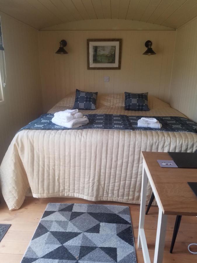 Villa Rhydydefaid Cwt Clyd - Cosy Hut à Bala Extérieur photo