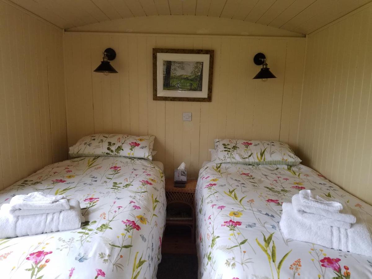 Villa Rhydydefaid Cwt Clyd - Cosy Hut à Bala Extérieur photo